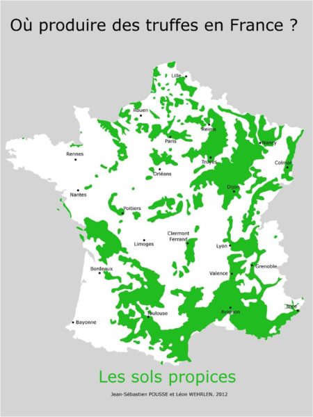 Truffes et régions de récolte en France